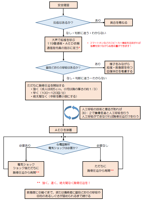 主に市民が行う一時救命処置のアルゴリズム